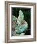 Veiled Chameleon, Native to Yemen-David Northcott-Framed Photographic Print