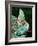 Veiled Chameleon, Native to Yemen-David Northcott-Framed Photographic Print