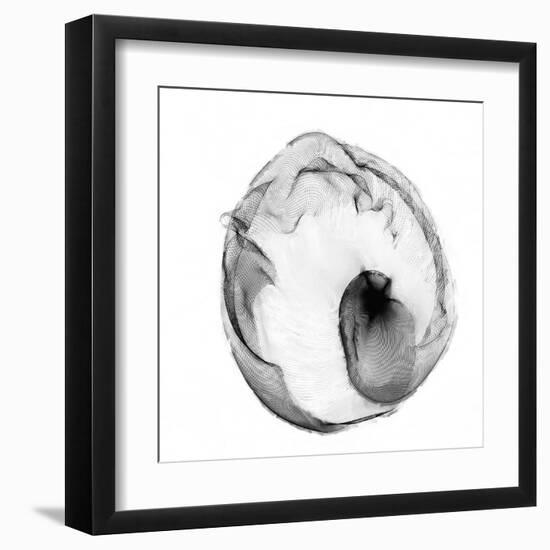 Veiled Illusions I-Kim Curinga-Framed Art Print