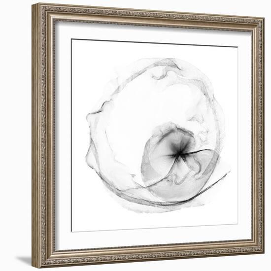 Veiled Illusions II-Kim Curinga-Framed Art Print