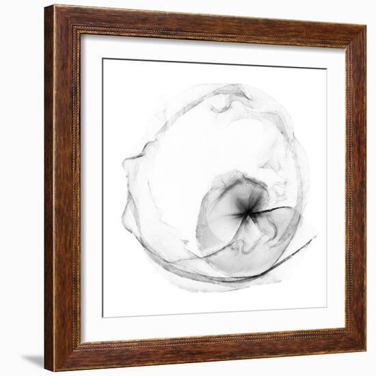 Veiled Illusions II-Kim Curinga-Framed Art Print