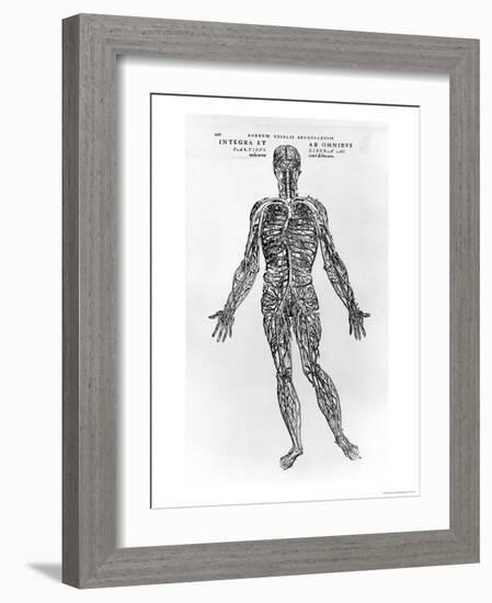 Veins and Arteries System-Andreas Vesalius-Framed Giclee Print