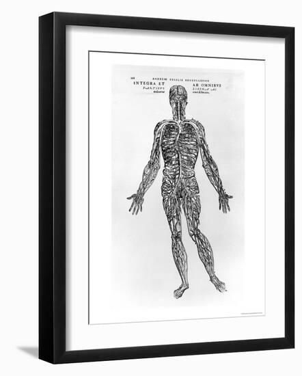 Veins and Arteries System-Andreas Vesalius-Framed Giclee Print