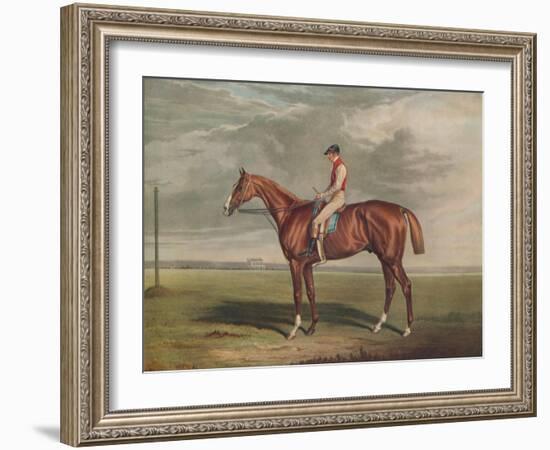 'Velocipede, Winner of the St. Leger, 1828', c1828, (1929)-Edward Duncan-Framed Giclee Print