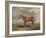 'Velocipede, Winner of the St. Leger, 1828', c1828, (1929)-Edward Duncan-Framed Giclee Print