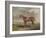 'Velocipede, Winner of the St. Leger, 1828', c1828, (1929)-Edward Duncan-Framed Giclee Print