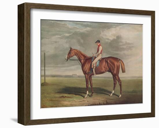 'Velocipede, Winner of the St. Leger, 1828', c1828, (1929)-Edward Duncan-Framed Giclee Print