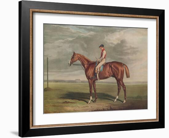 'Velocipede, Winner of the St. Leger, 1828', c1828, (1929)-Edward Duncan-Framed Giclee Print