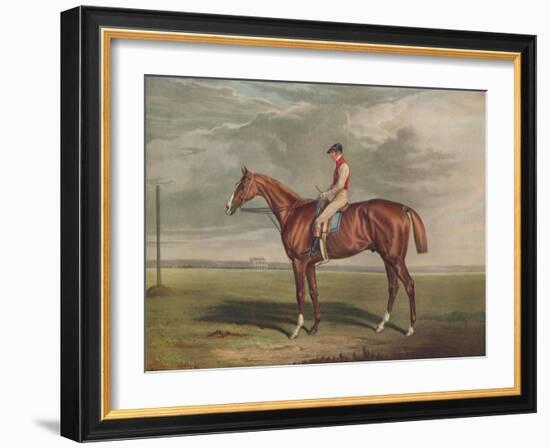 'Velocipede, Winner of the St. Leger, 1828', c1828, (1929)-Edward Duncan-Framed Giclee Print