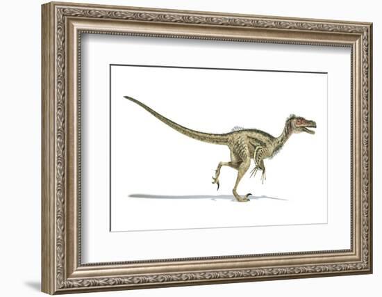 Velociraptor Dinosaur, Artwork-null-Framed Photographic Print