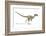 Velociraptor Dinosaur, Artwork-null-Framed Photographic Print