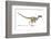 Velociraptor Dinosaur, Artwork-null-Framed Photographic Print