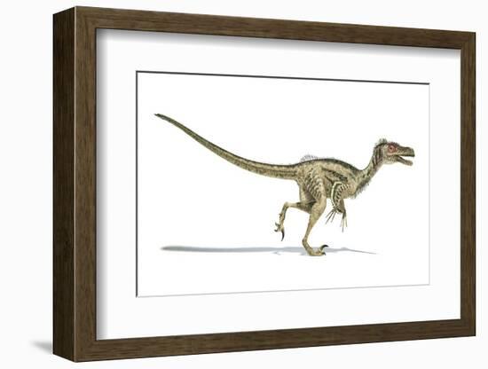 Velociraptor Dinosaur, Artwork-null-Framed Photographic Print