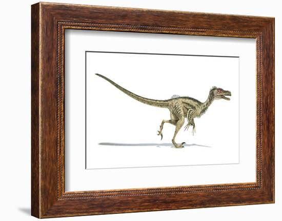 Velociraptor Dinosaur, Artwork-null-Framed Photographic Print