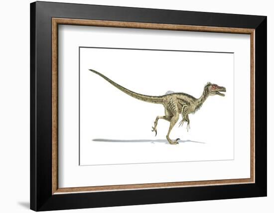 Velociraptor Dinosaur, Artwork-null-Framed Photographic Print