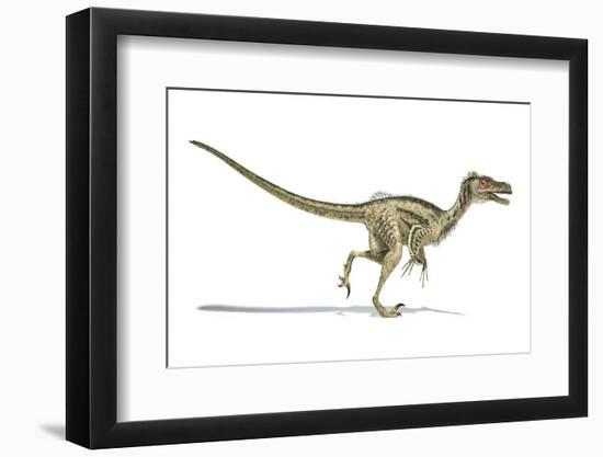 Velociraptor Dinosaur, Artwork-null-Framed Photographic Print