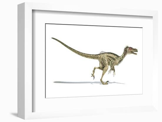 Velociraptor Dinosaur, Artwork-null-Framed Photographic Print