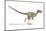 Velociraptor Dinosaur, Artwork-null-Mounted Photographic Print