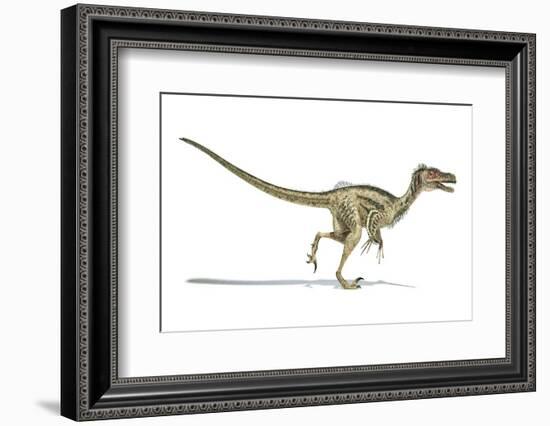 Velociraptor Dinosaur, Artwork-null-Framed Photographic Print