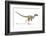 Velociraptor Dinosaur, Artwork-null-Framed Photographic Print