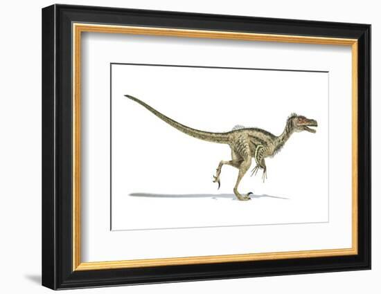 Velociraptor Dinosaur, Artwork-null-Framed Photographic Print