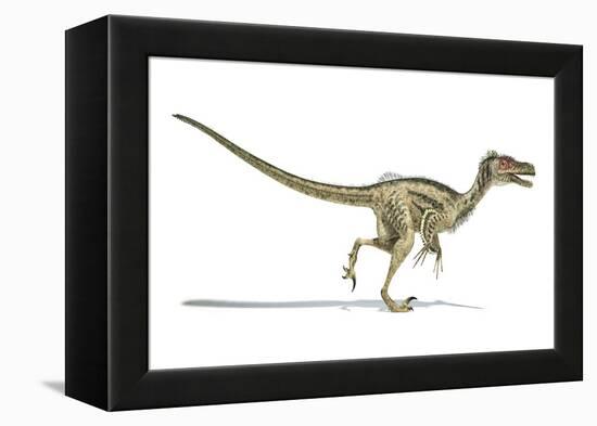 Velociraptor Dinosaur, Artwork-null-Framed Premier Image Canvas