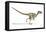 Velociraptor Dinosaur, Artwork-null-Framed Premier Image Canvas