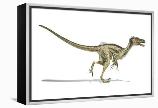 Velociraptor Dinosaur, Artwork-null-Framed Premier Image Canvas