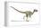 Velociraptor Dinosaur, Artwork-null-Framed Premier Image Canvas