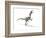 Velociraptor Dinosaur, Artwork-null-Framed Photographic Print