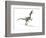 Velociraptor Dinosaur, Artwork-null-Framed Photographic Print