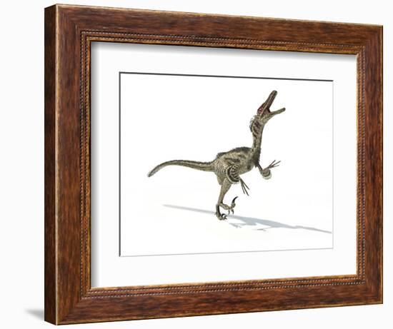 Velociraptor Dinosaur, Artwork-null-Framed Photographic Print