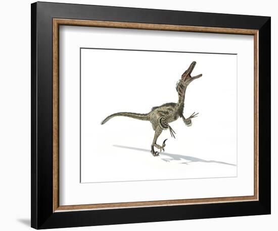 Velociraptor Dinosaur, Artwork-null-Framed Photographic Print