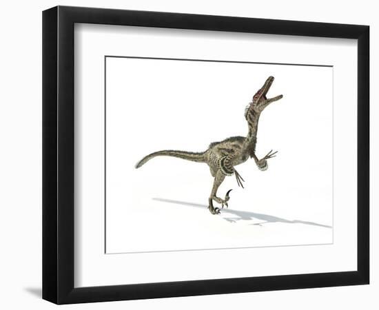 Velociraptor Dinosaur, Artwork-null-Framed Photographic Print