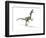 Velociraptor Dinosaur, Artwork-null-Framed Photographic Print