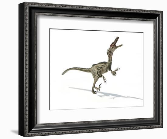 Velociraptor Dinosaur, Artwork-null-Framed Photographic Print