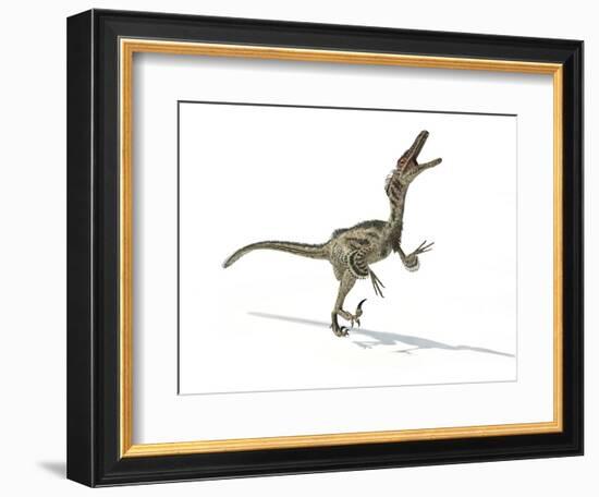 Velociraptor Dinosaur, Artwork-null-Framed Photographic Print