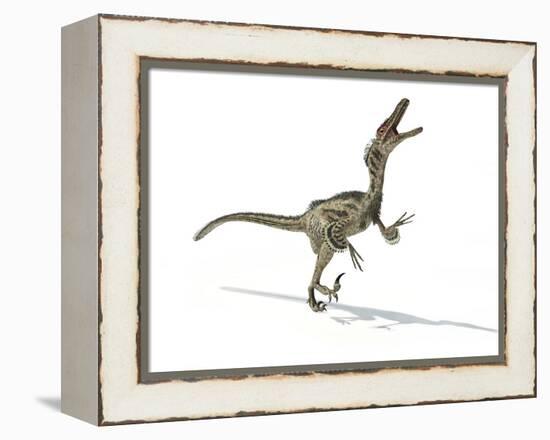 Velociraptor Dinosaur, Artwork-null-Framed Premier Image Canvas