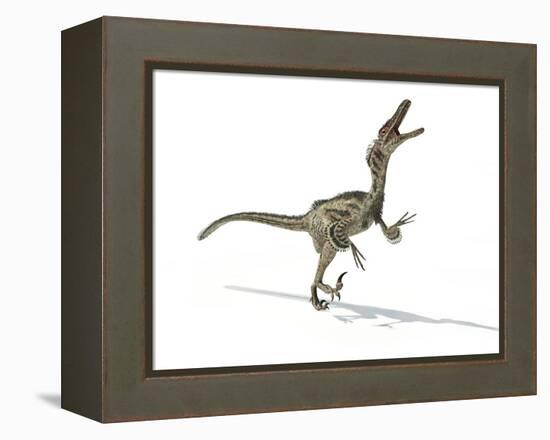 Velociraptor Dinosaur, Artwork-null-Framed Premier Image Canvas