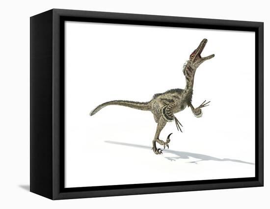 Velociraptor Dinosaur, Artwork-null-Framed Premier Image Canvas