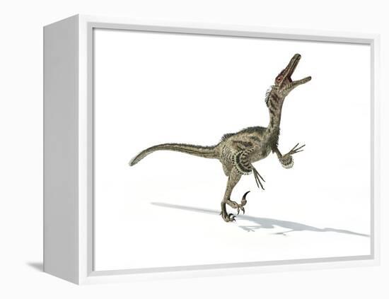 Velociraptor Dinosaur, Artwork-null-Framed Premier Image Canvas