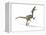 Velociraptor Dinosaur, Artwork-null-Framed Premier Image Canvas