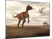 Premium Giclee Print