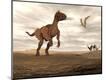 Premium Giclee Print