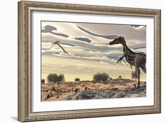 Velociraptor Dinosaur Observing a Pteranodon Flying over the Desert-Stocktrek Images-Framed Art Print