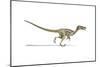 Velociraptor Dinosaur on White Background-null-Mounted Art Print