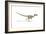 Velociraptor Dinosaur on White Background-null-Framed Art Print