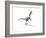 Velociraptor Dinosaur on White Background-null-Framed Art Print