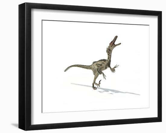 Velociraptor Dinosaur on White Background-null-Framed Art Print