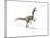 Velociraptor Dinosaur on White Background-null-Mounted Art Print